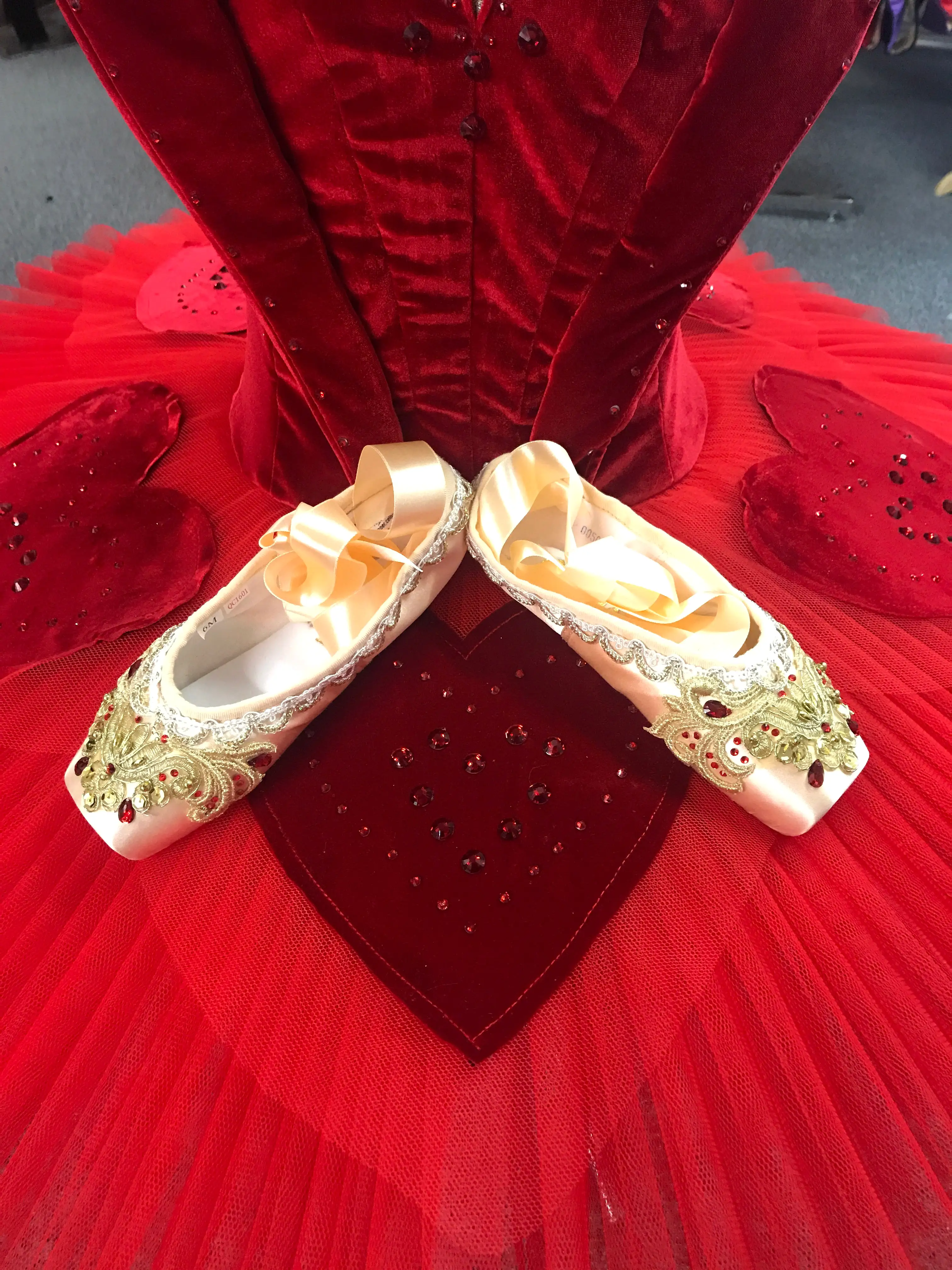 Decorated pointe shoes - Gamzatti